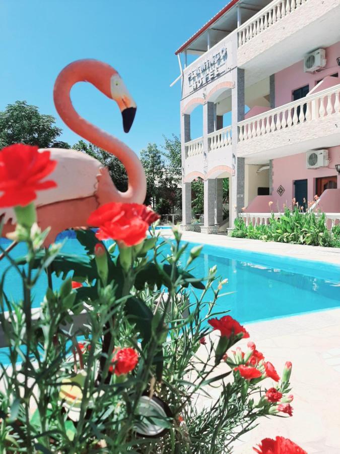 Flamingo Corfu
