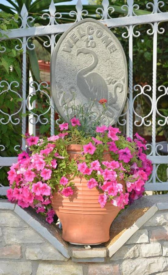 Flamingo Corfu Hotel apartamentowy