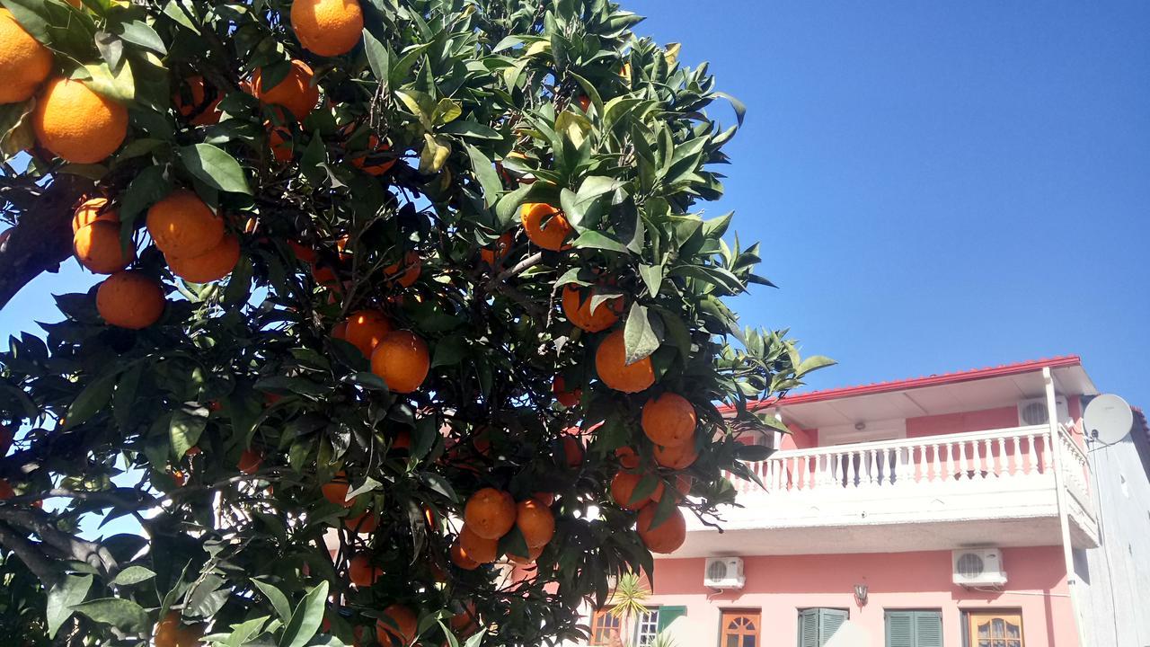 Hotel apartamentowy Flamingo Corfu Moraitika